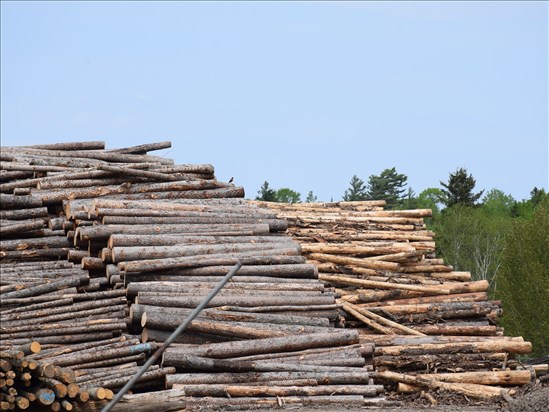 Le préfet de Lac-Saint-Jean-Est croit que la réforme a été « mal vendue »