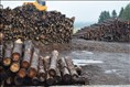 L’industrie forestière frappée à nouveau par des tarifs