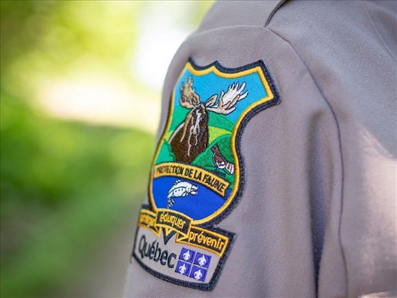 La Fédération québécoise des chasseurs et pêcheurs tire la sonnette d’alarme