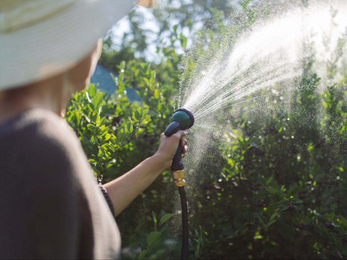 Métabetchouan Lac-à-la-Croix souhaite augmenter sa canopée urbaine