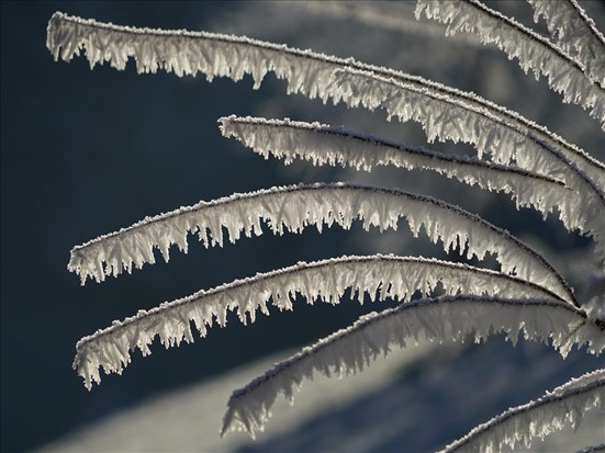 Encore 2000 foyers privés d'électricité 