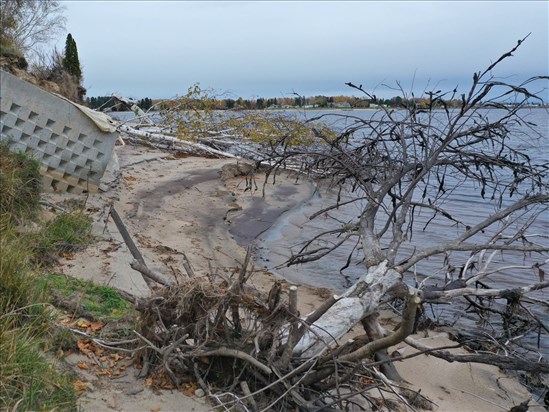 Le Mouvement Onésime-Tremblay veut protéger les berges du Lac-Saint-Jean