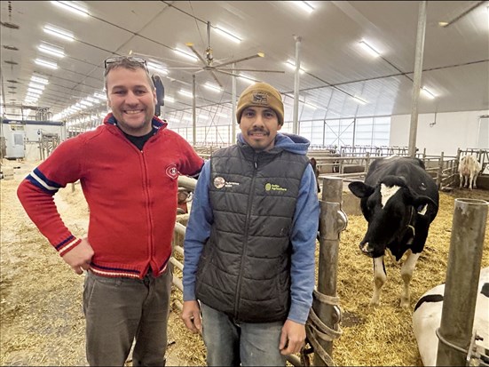 « La vida a la ferma »