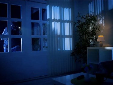 Maison sous surveillance : pourquoi les portes arrière deviennent la cible des cambrioleurs