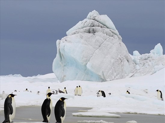 Un voyage unique au bout du monde dans les cinémas de la région