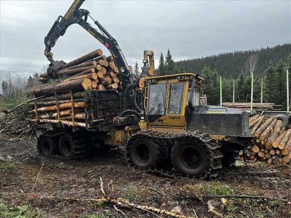 Le groupe de travail du gouvernement fédéral entame ses consultations