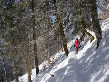 5 sentiers à arpenter dans le secteur du Mont-Tremblant