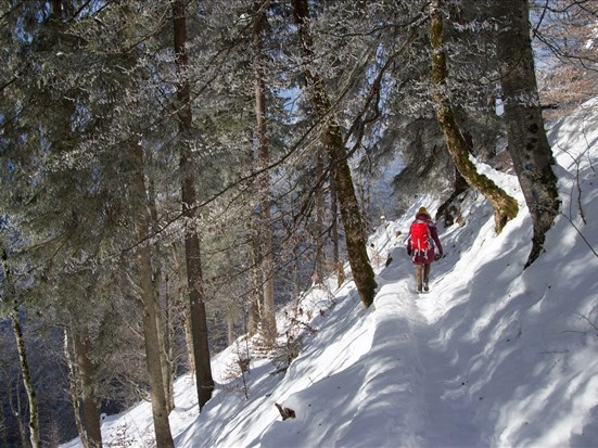 5 sentiers à arpenter dans le secteur du Mont-Tremblant
