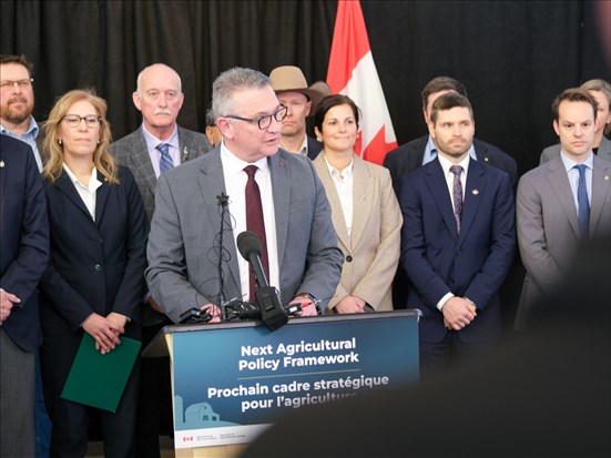 Ottawa lance des consultations sur le soutien au secteur agricole