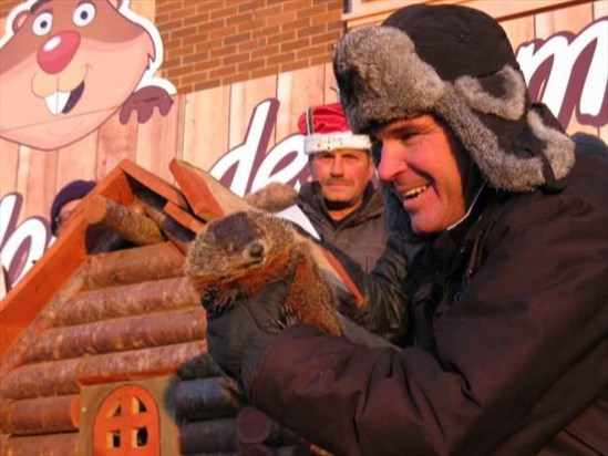 Les bêtes ne s’entendent pas