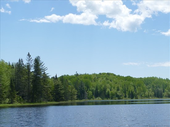 Louis Ouellet met le gouvernement en garde