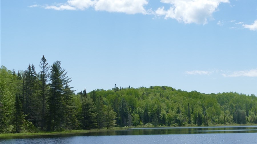 Louis Ouellet met le gouvernement en garde