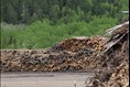 Le Saguenay–Lac-Saint-Jean et Mauricie s’unissent pour la forêt