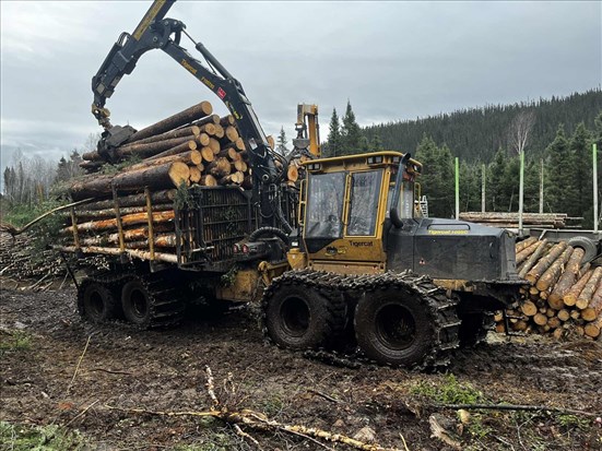 Alliance forêt boréale devient l’Alliance des communautés forestières