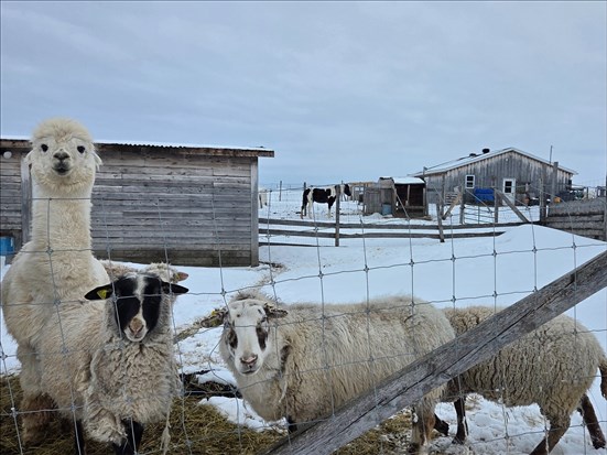 Le Domaine de la 2e chance met fin à ses activités