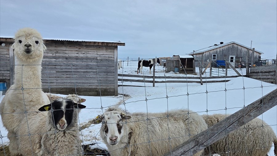 Le Domaine de la 2e chance met fin à ses activités