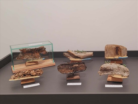 Le sculpteur Marc Demers expose la puissance du minuscule à Jonquière