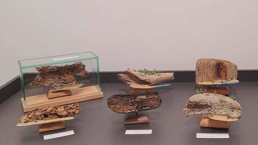 Le sculpteur Marc Demers expose la puissance du minuscule à Jonquière