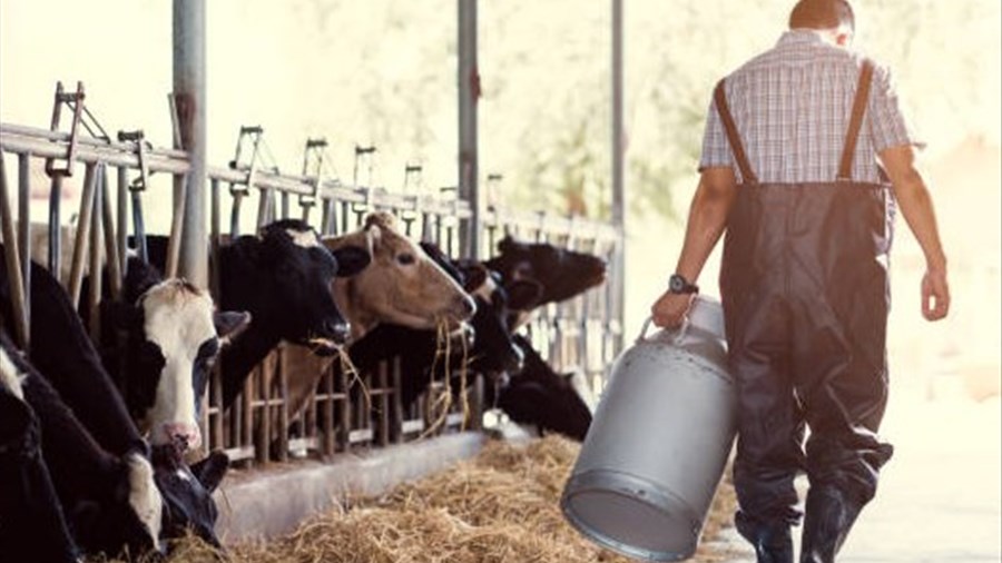 L'importance des producteurs de lait soulignée lors d’une assemblée