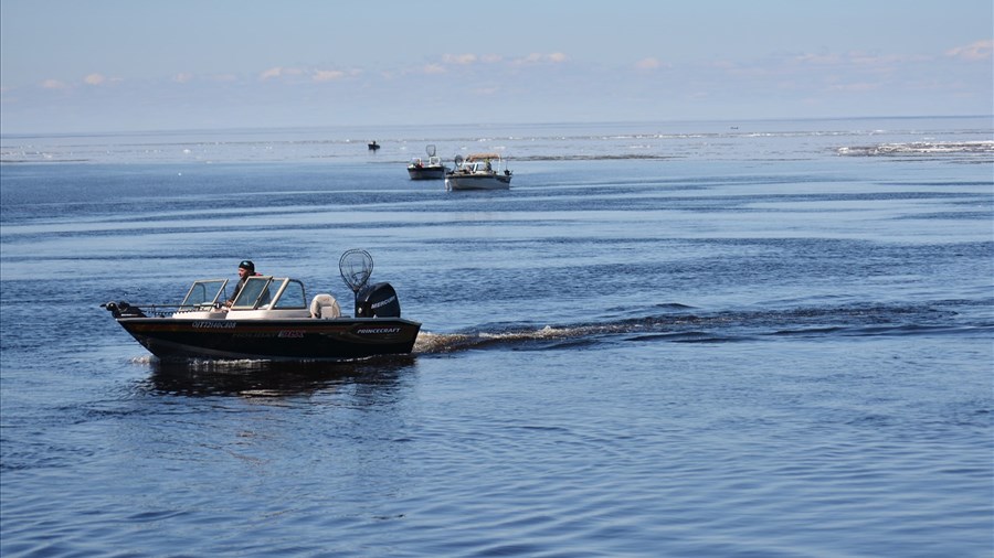 Québec assouplit les règles pour la ouananiche au lac Saint Jean