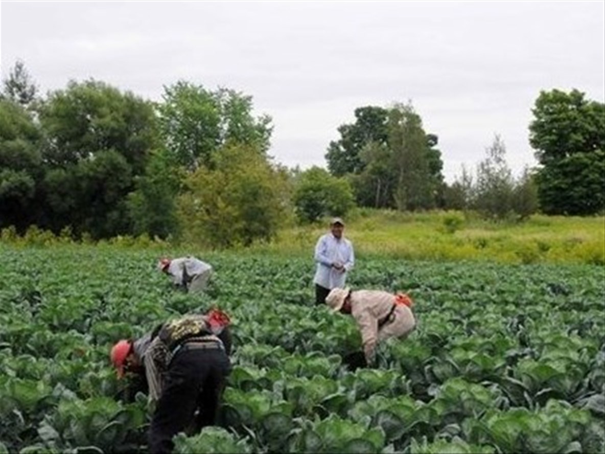 Ottawa assouplit l’accès aux travailleurs étrangers en milieu rural