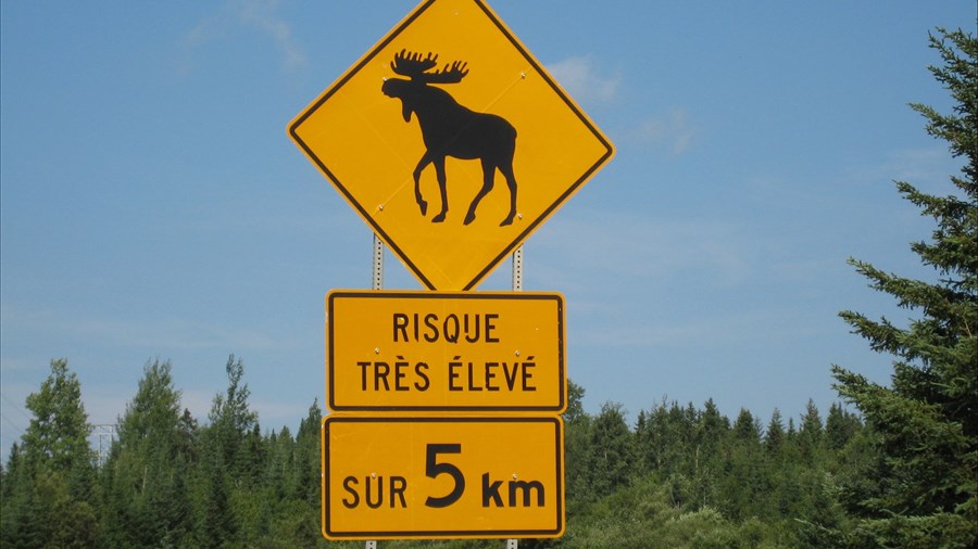 Québec demande aux conducteurs de faire preuve de prudence