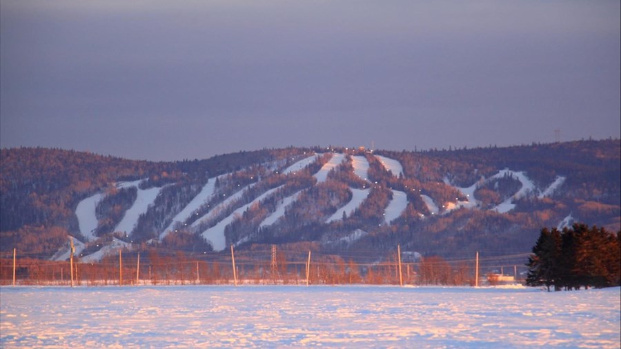 La direction répond aux critiques du mouvement citoyen 