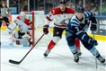Défaite des Saguenéens contre Rouyn-Noranda