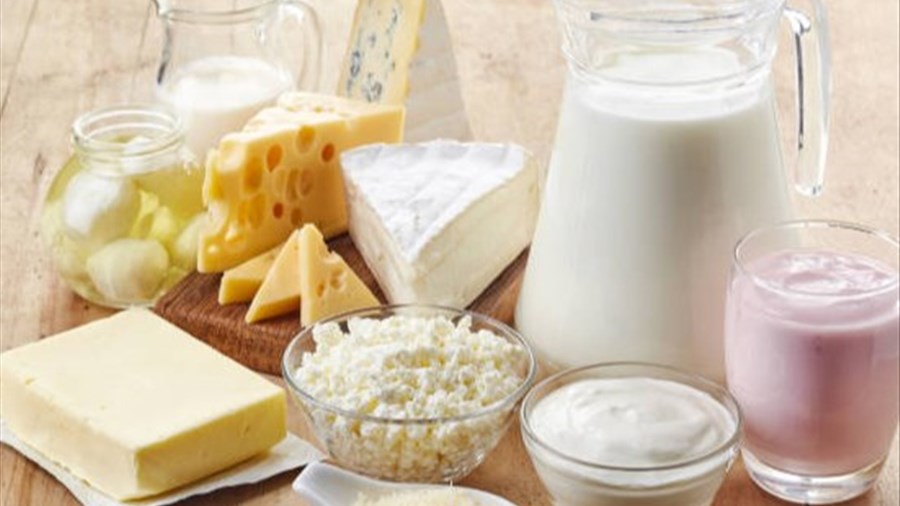 Le fromage plus emblématique que l’érable au Saguenay-Lac-Saint-Jean