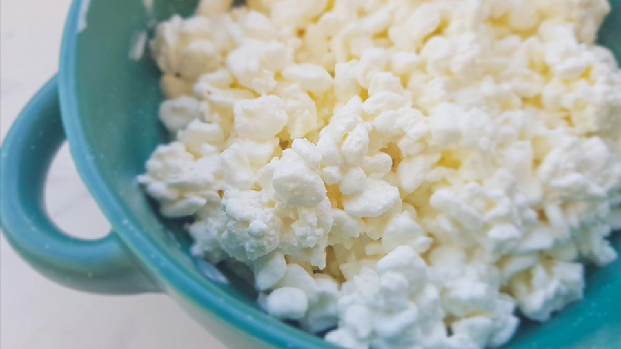 La Microlaiterie Riverin du Lac lance son fromage cottage « Colosse »