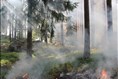Deux incendies de forêt maîtrisés au nord du Lac-Saint-Jean