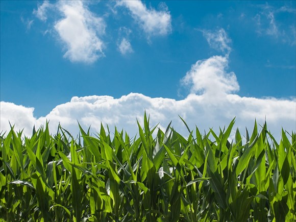 Agrinova célèbre 30 ans d’innovation au service du secteur agricole