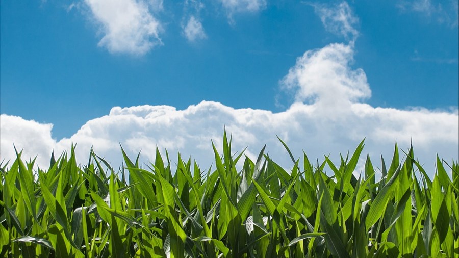 Agrinova célèbre 30 ans d’innovation au service du secteur agricole
