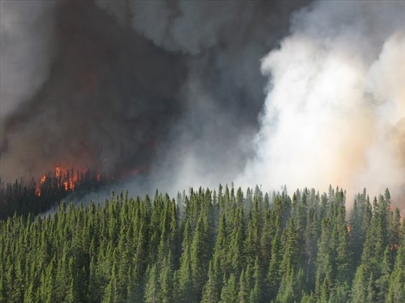 Le gouvernement fédéral anticipe une saison des feux de forêt ardue