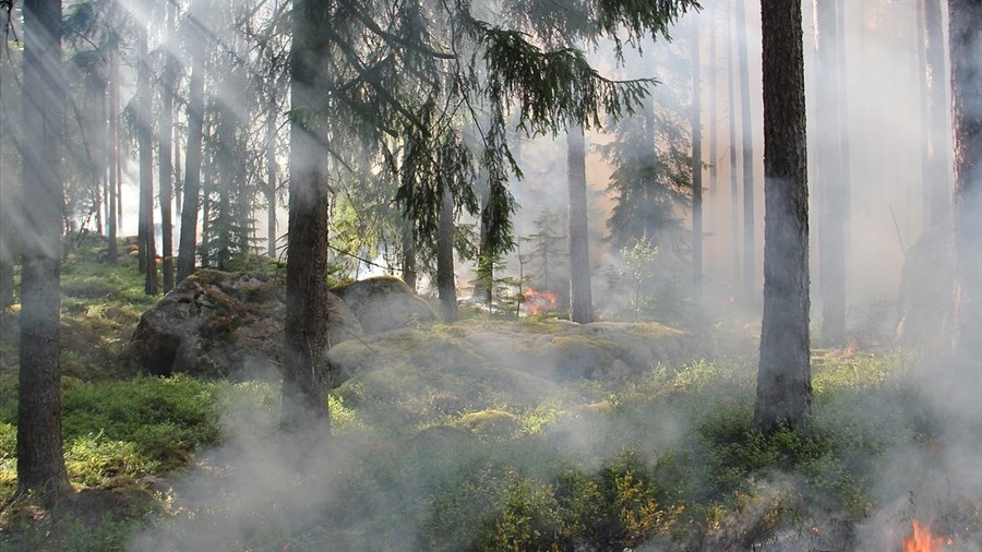 Nouvelle interdiction des feux à ciel ouvert dans toute la région
