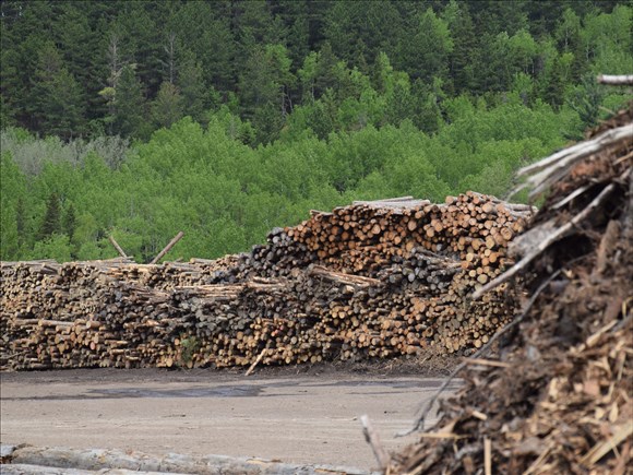 Un soulagement partiel pour l’industrie forestière régionale