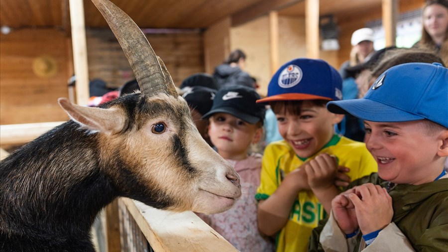 3 M$ pour de nouvelles installations au Zoo sauvage de Saint-Félicien