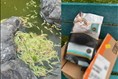 Vandalisme insolite à Métabetchouan–Lac-à-la-Croix