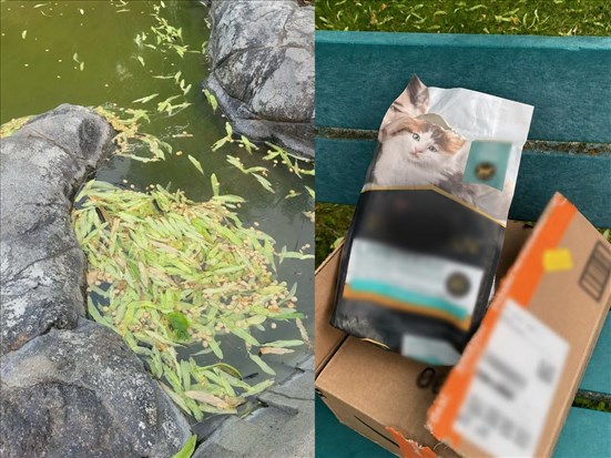 Vandalisme insolite à Métabetchouan–Lac-à-la-Croix