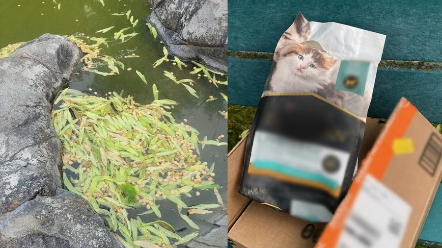 Vandalisme insolite à Métabetchouan–Lac-à-la-Croix