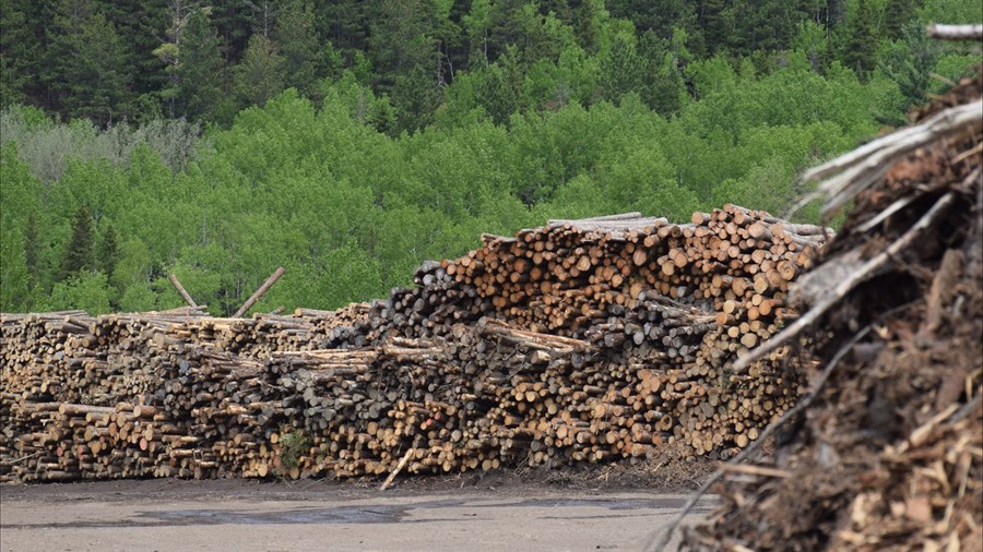 Québec investit 120 M$ pour soutenir l’industrie forestière