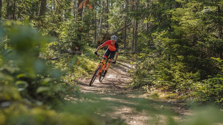 Une nouvelle aventure à vélo pour relier le Saguenay et Charlevoix