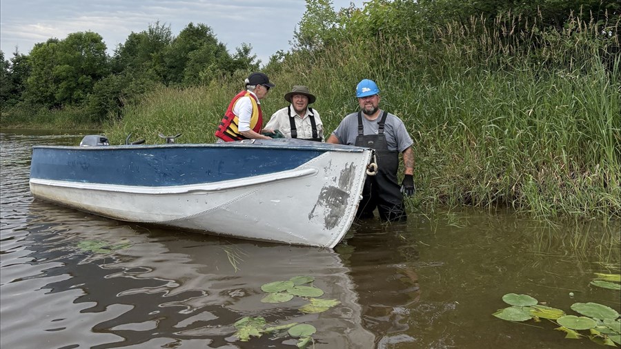 Plus de 300 kg de plante aquatique envahissante retirés à la marina