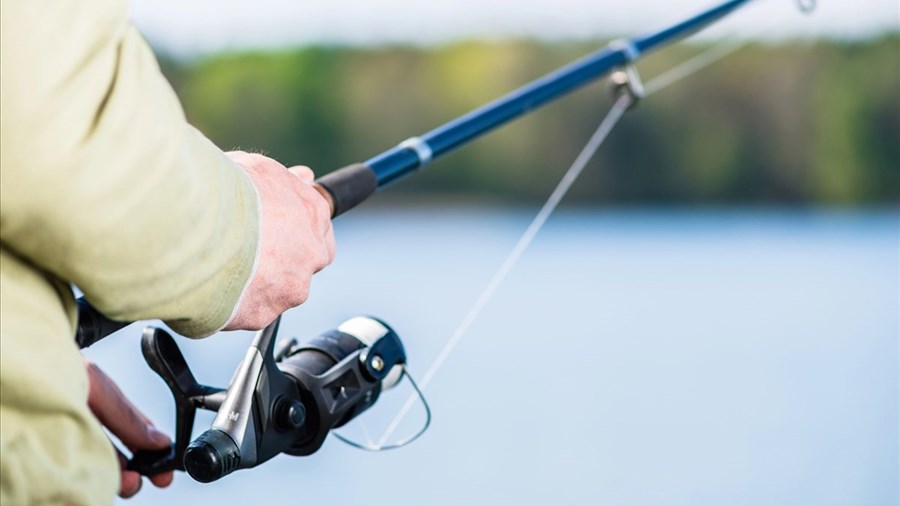 La Fédération québécoise des chasseurs et pêcheurs veut passer à l’action