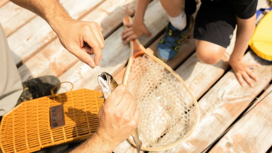 La saison de pêche bien entamée avec les nouvelles règlementations 