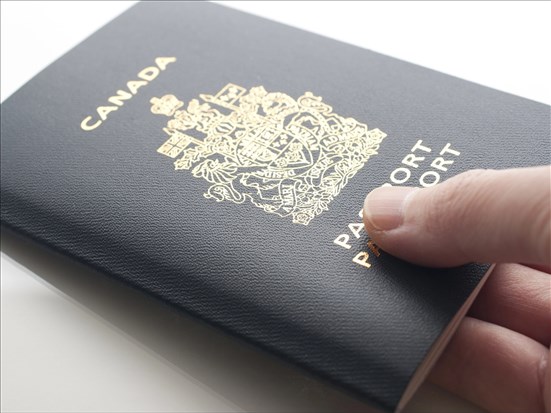 Le renouvellement en ligne maintenant offert à tous les adultes