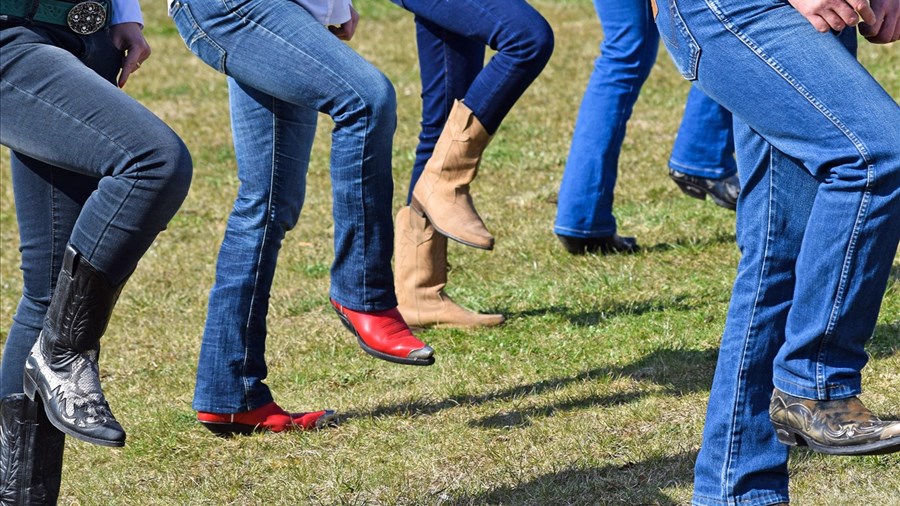 Cinéma en plein air et musique traditionnelle au rendez-vous