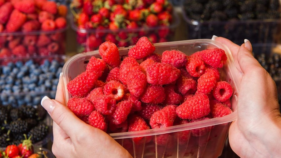 Les producteurs québécois confrontés à une forte concurrence étrangère